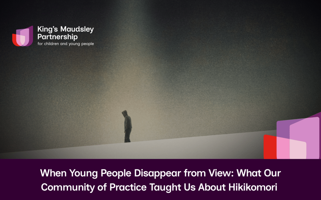 When Young People Disappear from View: What Our Community of Practice Taught Us About Hikikomori